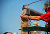 Oats Coming out of Thresher